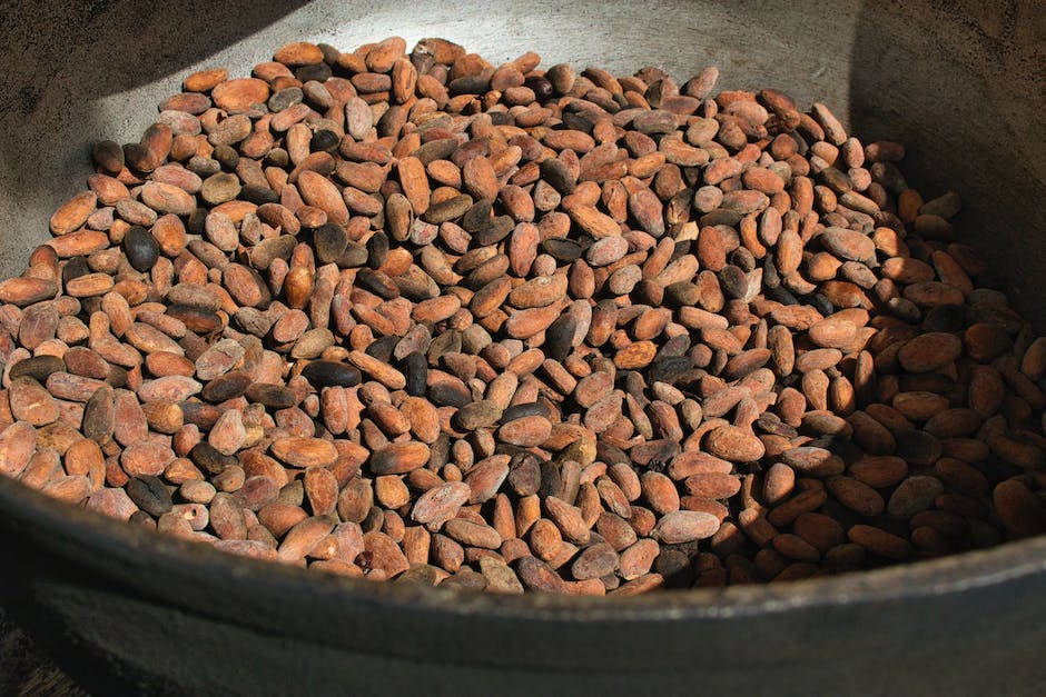 Schokolade herstellen durch Verarbeitung von Kakaobohnen